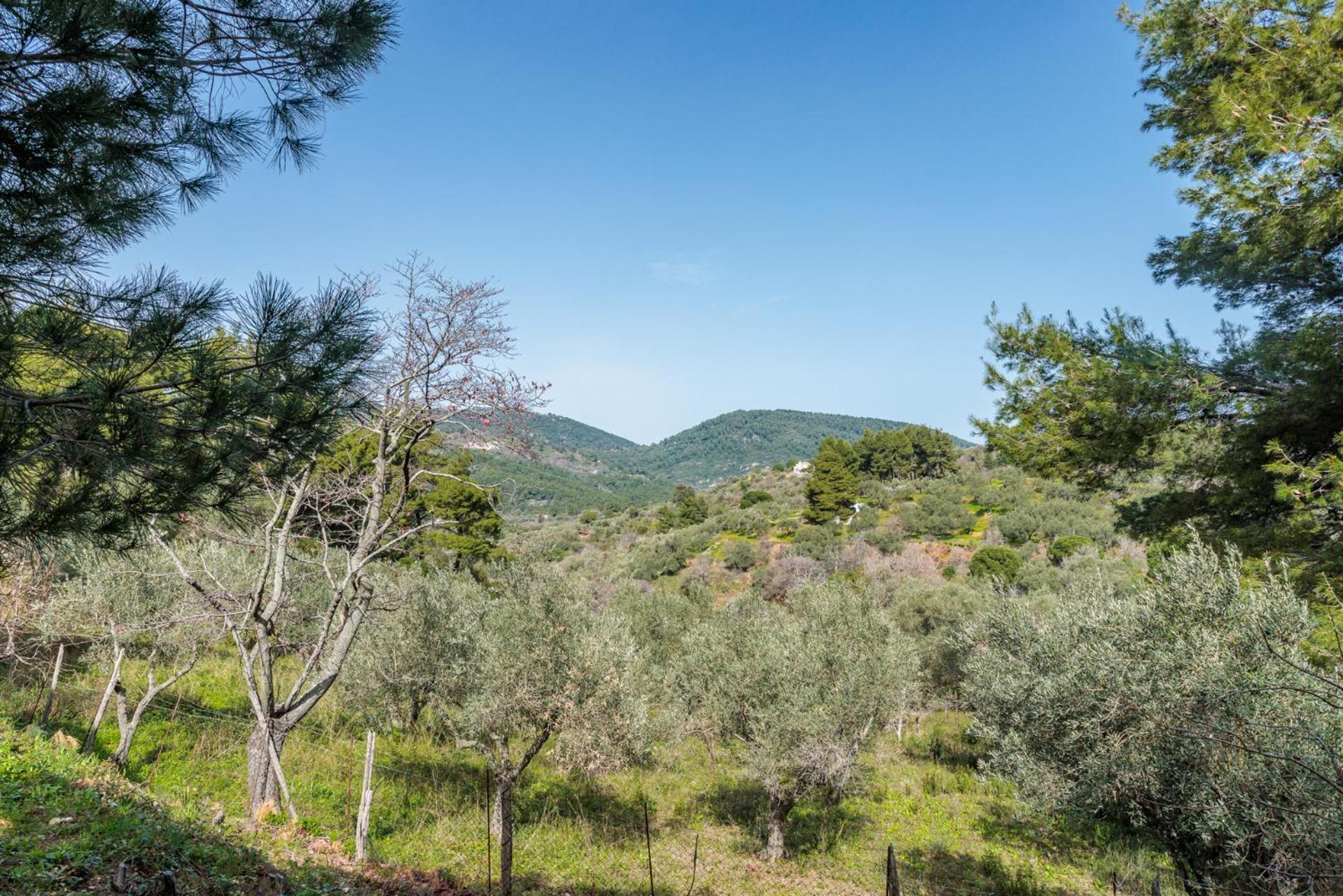Elli Cottage Skopelos Town Exterior foto