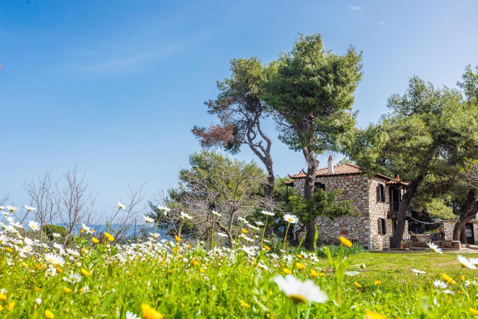 Elli Cottage Skopelos Town Exterior foto