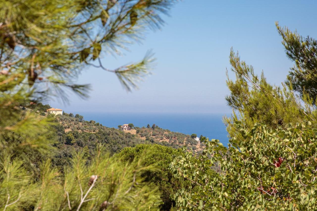 Elli Cottage Skopelos Town Exterior foto